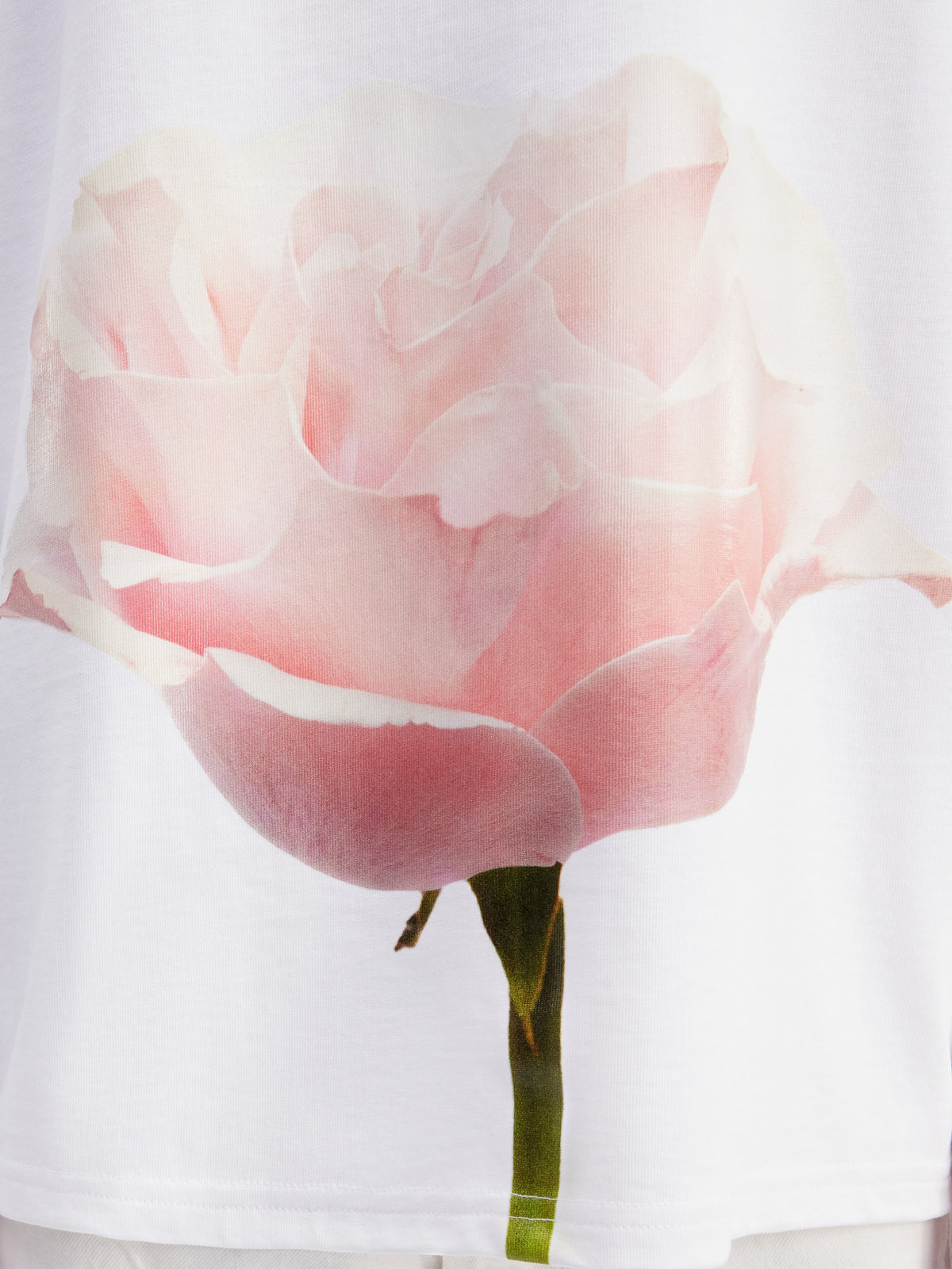 Le Tshirt Rosine - Big Rose White