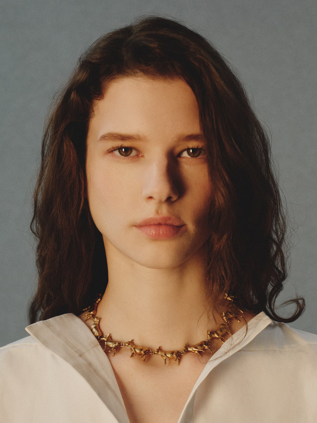 Le Collier Anes