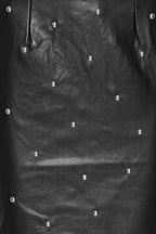 Studded Pencil Skirt