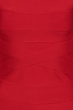 Mini Fitted Knit Dress